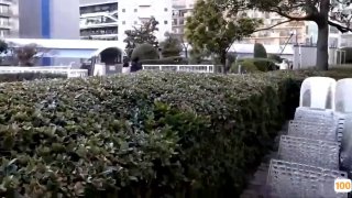 厨房里垃圾桶和继妹的乐趣